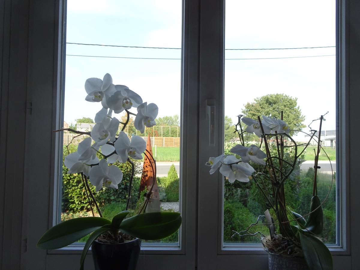 Chalet Buistemberg Villa Brakel Exteriör bild